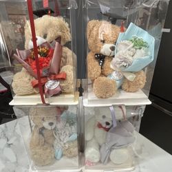 Cute Graduation Bear 2025 