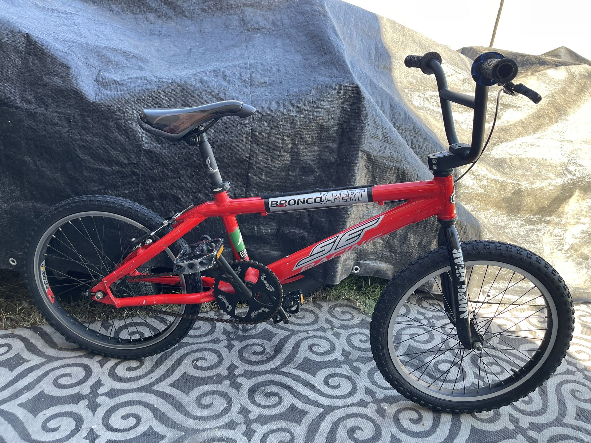 Boy’s SE BMX Bike(20’)