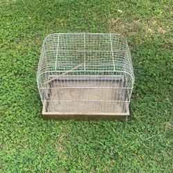 Bird Cage