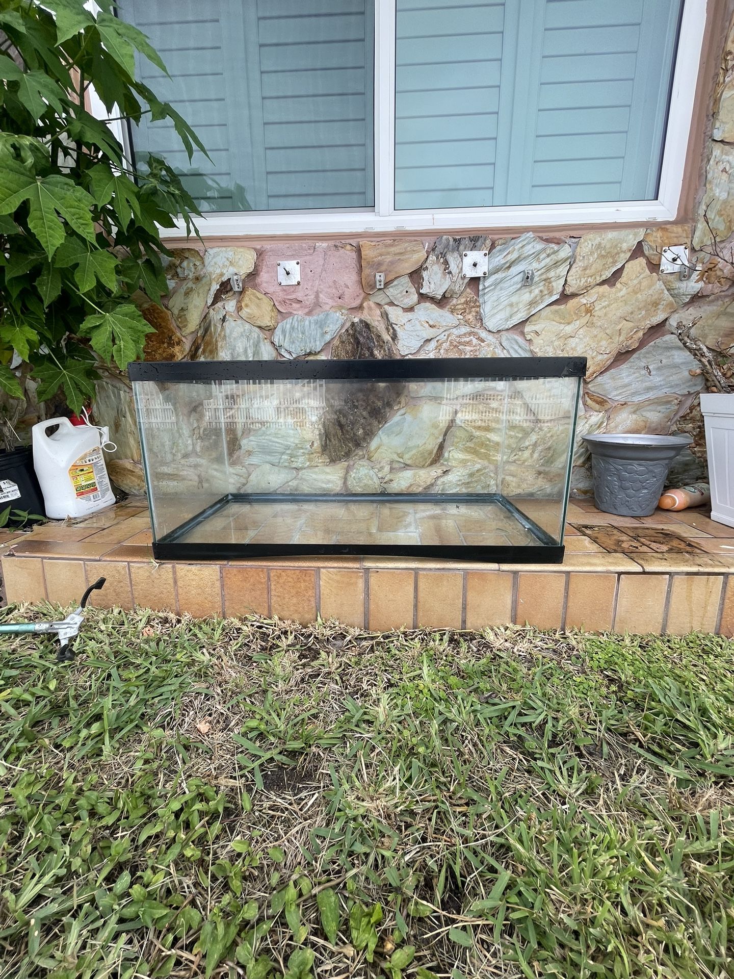 40 Gallon Fish Tank