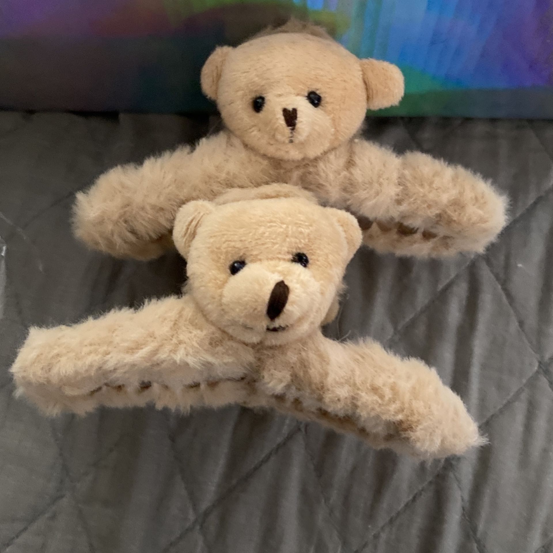 Two Bear Hair Clip