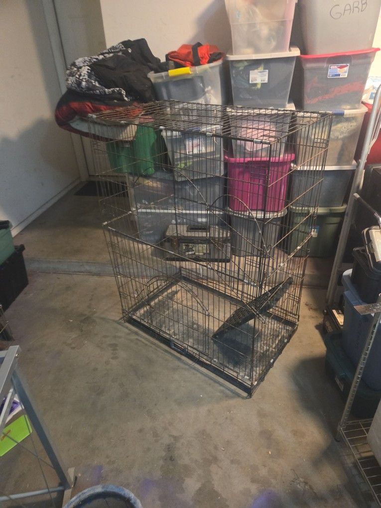 Big Bird Cage