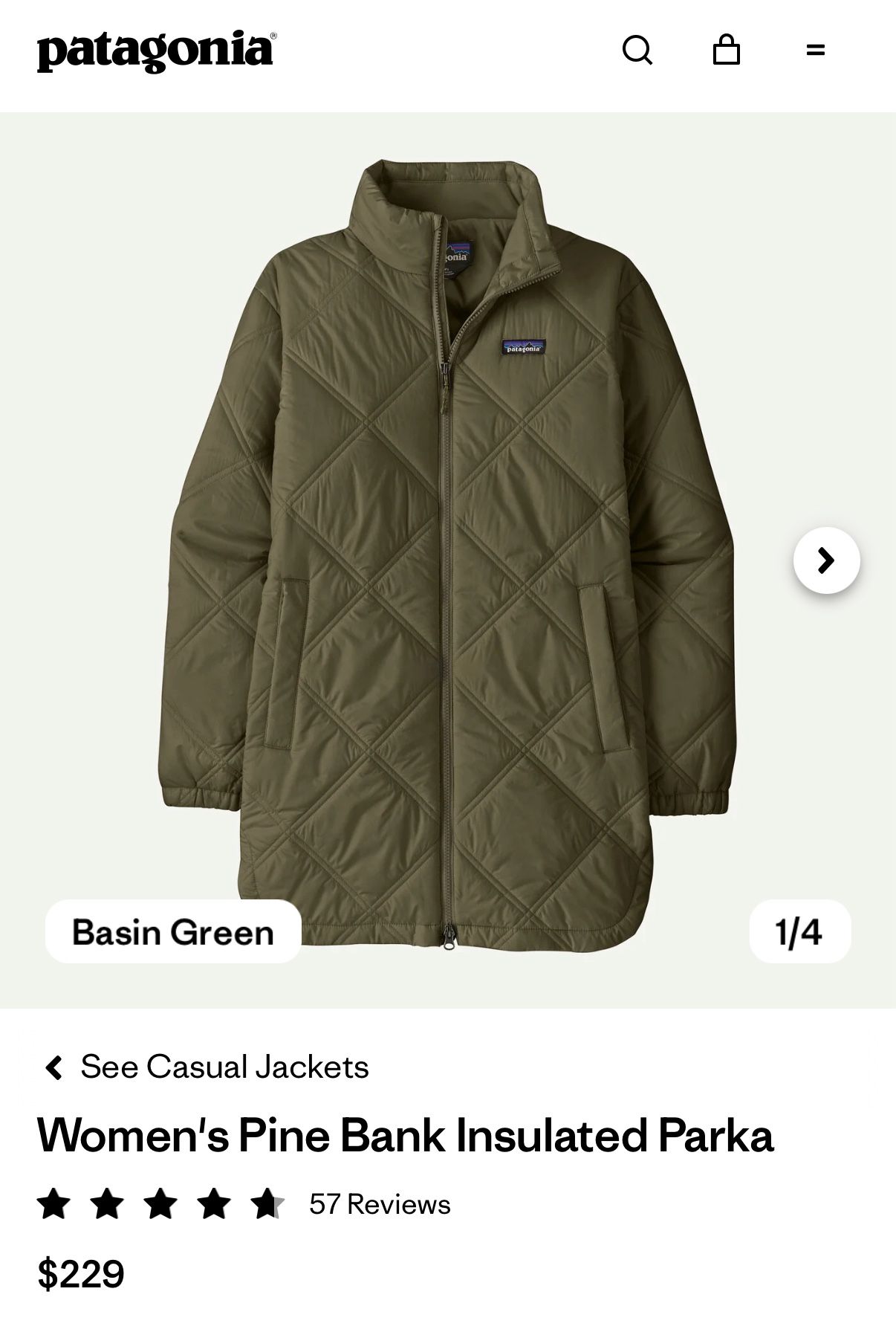 Patagonia Women’s “Pine Bank Insulated Parka”