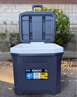 Igloo cooler 60qt