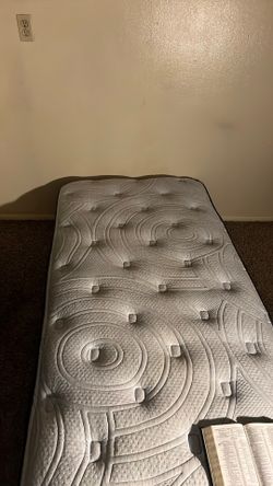 Bed, Brand Serta