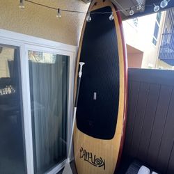 Paddle Boards (TWO)