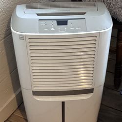 Frigidaire Lowe's Exclusive 50 Pint Capacity Dehumidifier