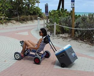 Hoverboard Trailer for Sale in Merritt Island FL OfferUp