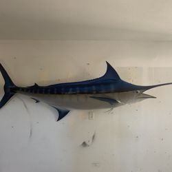 Marlin Mount 10 Ft Long 