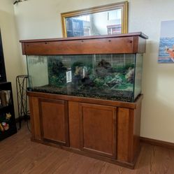 Free Fish Tank Aquarium. Need Gone Asap