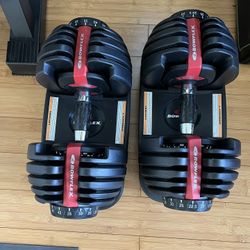 Bowflex Weights