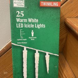 25 Twinkling Lights Led 