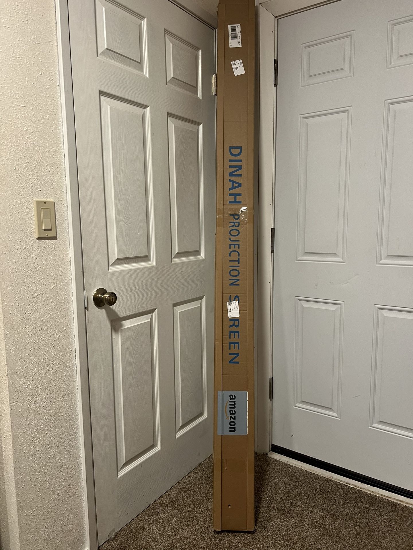 Dinah Projector Screen 84”