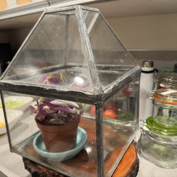 Glass Terrarium