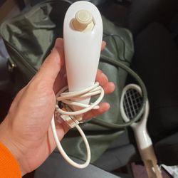 Nintendo Wii Nunchuck