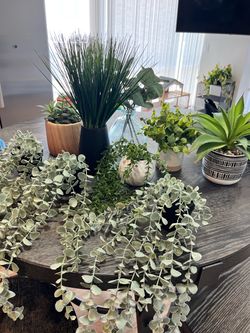 Faux Plant Collection with Decorative Pots