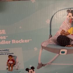 Infant To Toddler Rocker