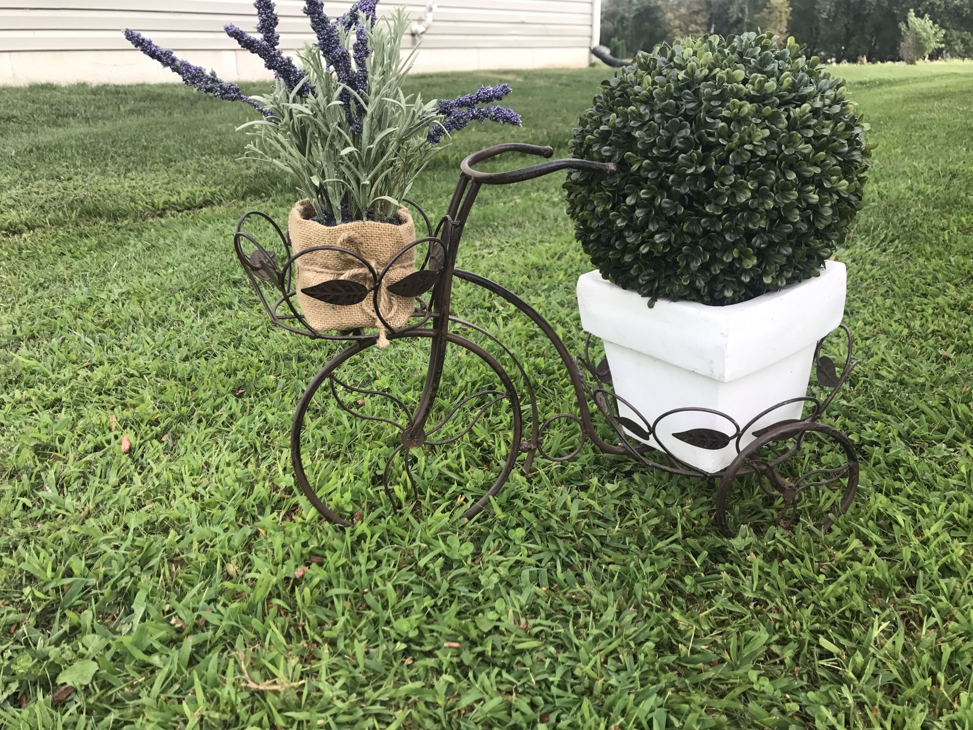 Bicycle with plants