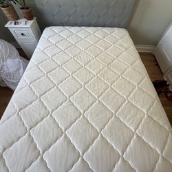 Free Queen Size Mattress  NE DC