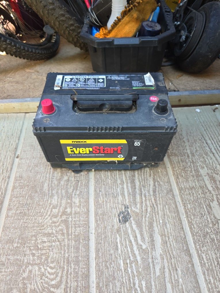 Everstart Battery 750cca