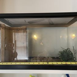 Glass Tank 