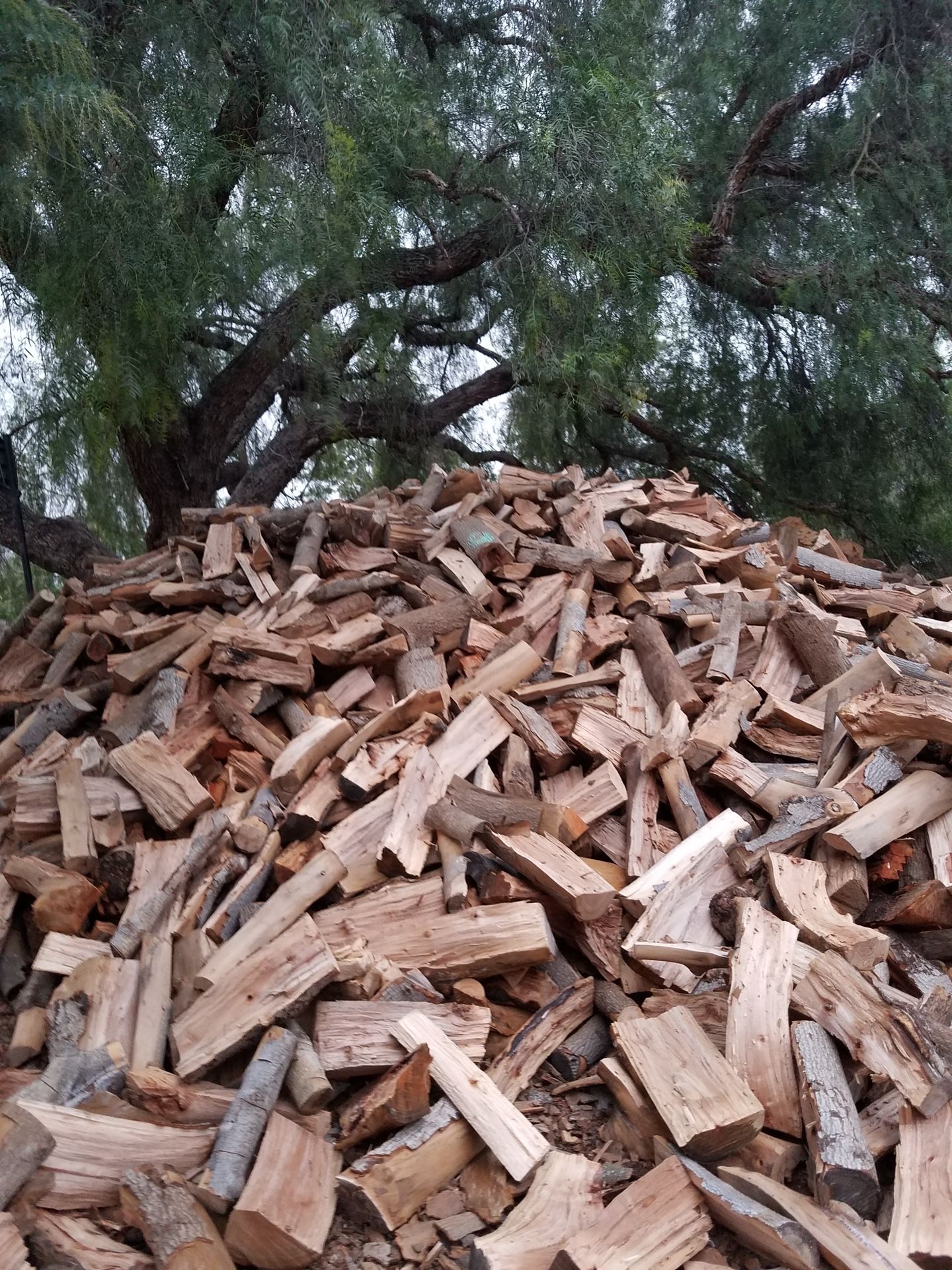 Firewood