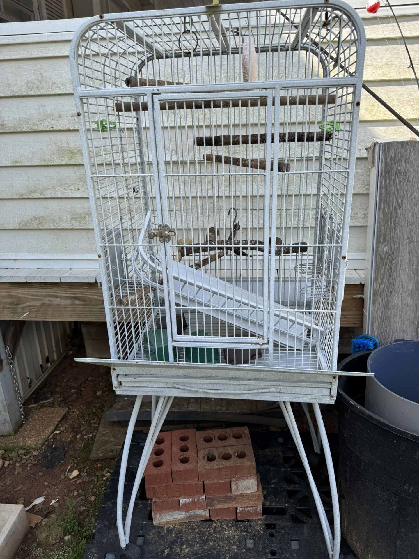 Bird Cage
