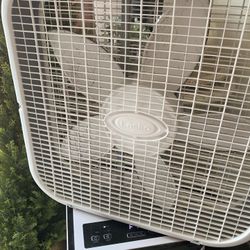 Fan