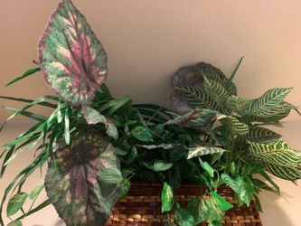 arge Artificial Plant Arrangement in Woven Basket Ledge Planter