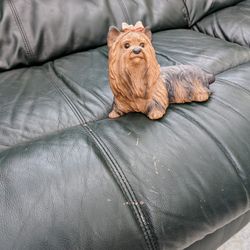 Yorkie Dog Home Decoration Beautiful