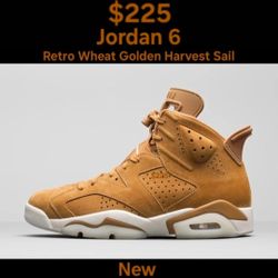 Jordan 6 Retro Wheat  Golden Harvest Sail 