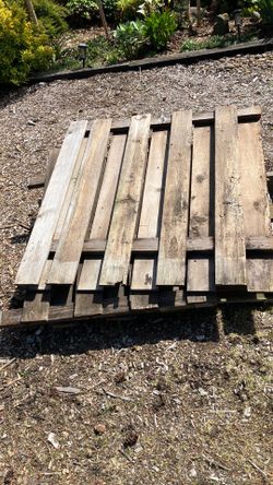 FREE Old fence panels.