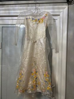 Cinderella costume