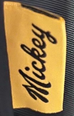 Mickey Mouse backpack $20 obo