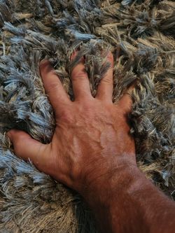 Beautiful thick shag rug 8x10