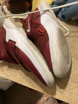 Lebrun Size 12