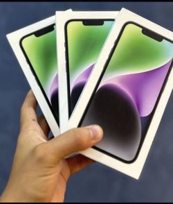 iPhone 14