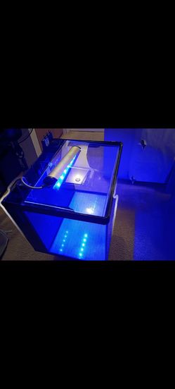 Saltwater fish tank 34 gallons Red sea