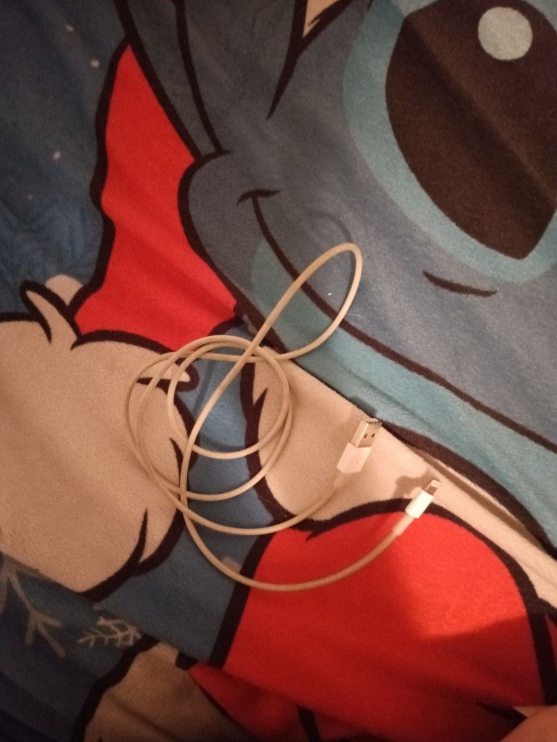 iPhone Charger