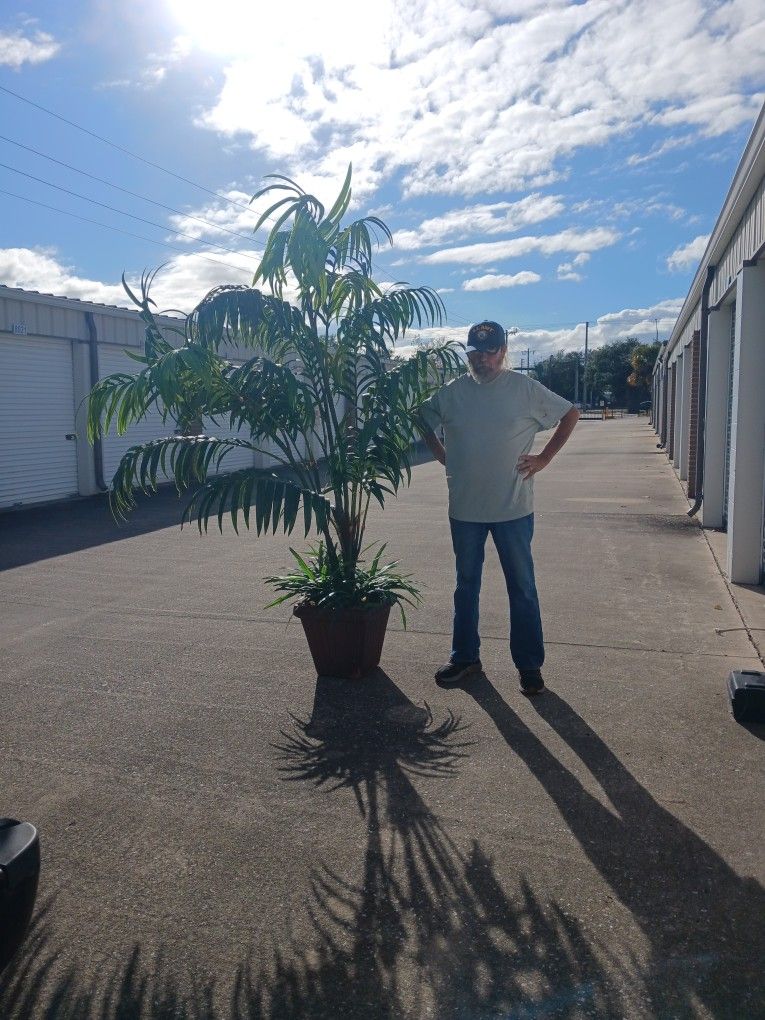 Artificial faux Plants And Tree