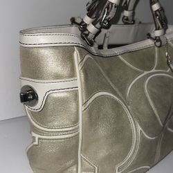 Metallic Coach Purse 
