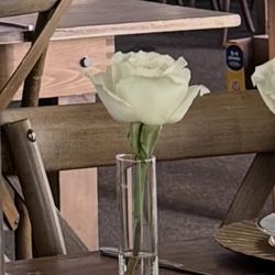 Cyclinder Bud Vases 