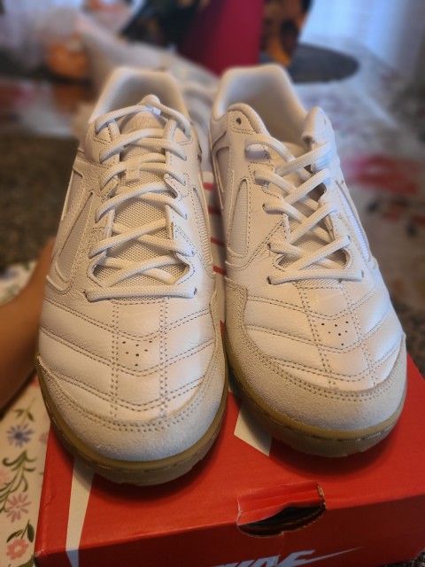 Nike gato