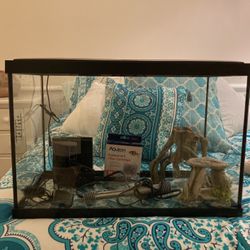 20g Fish Tank