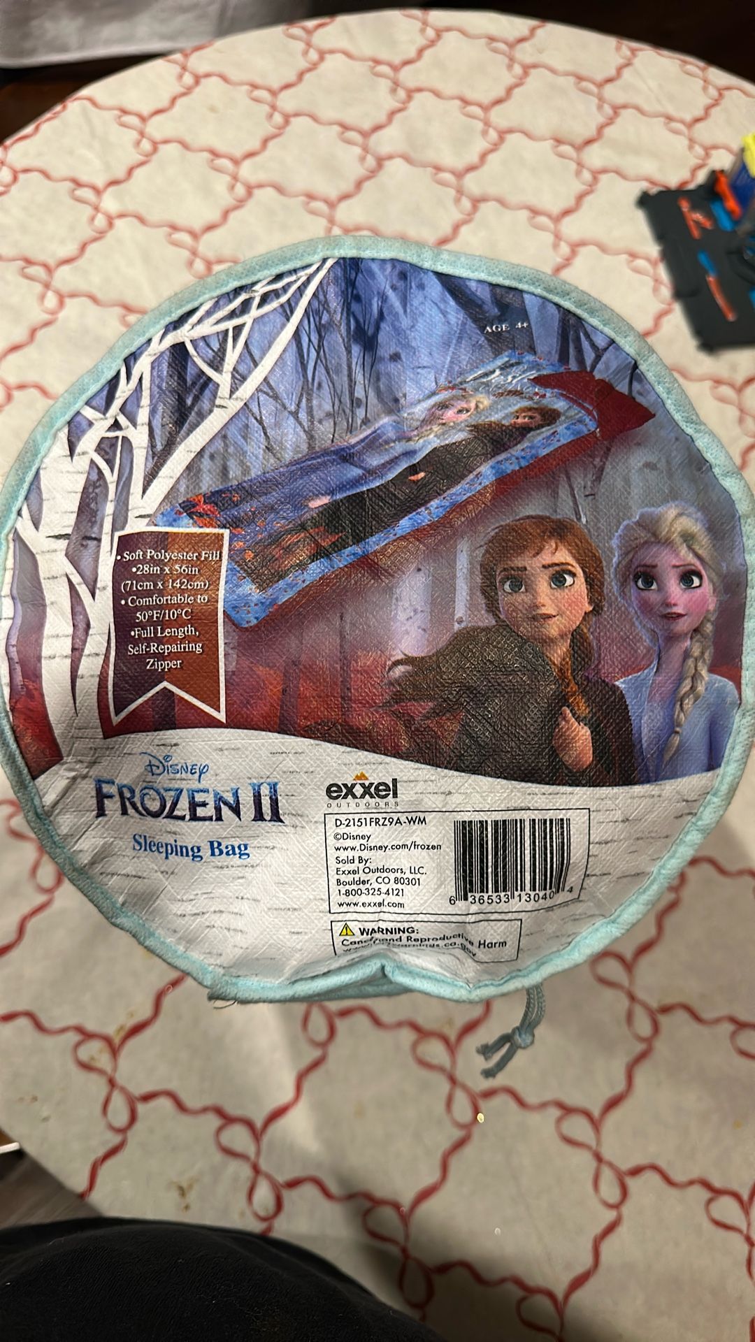Frozen Sleeping Bag