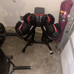 Adjustable Dumbbells 