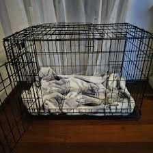 Cage
