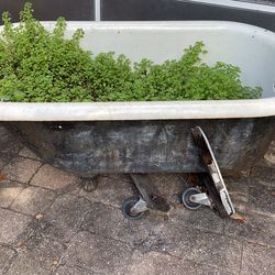 Antique clawfoot bathtub