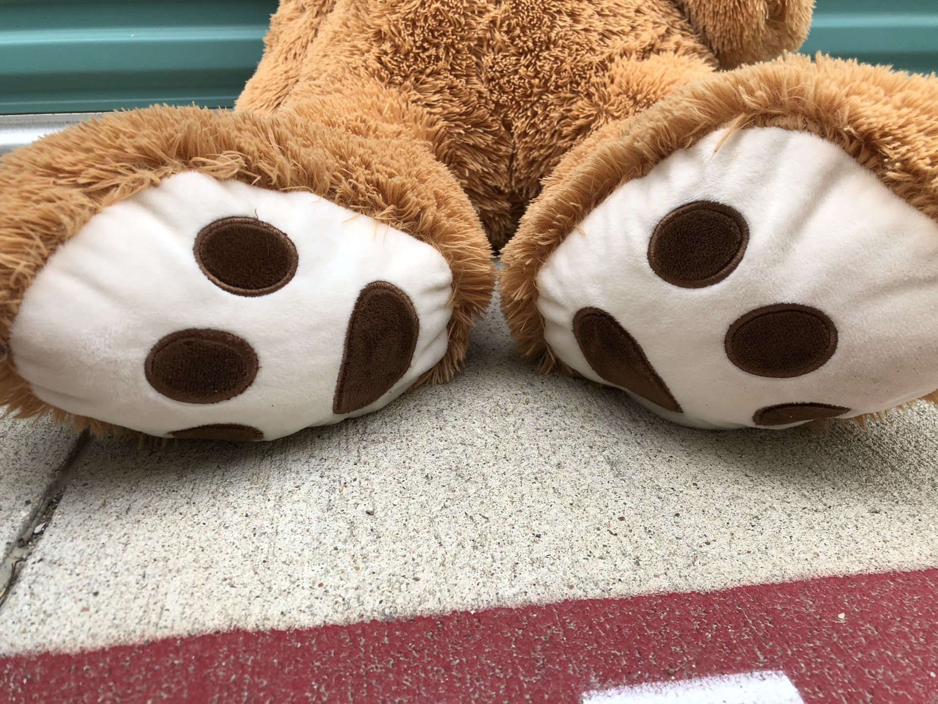 Teddy bear