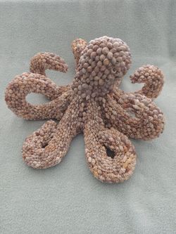 Sea Shells - Octopus Decorative
